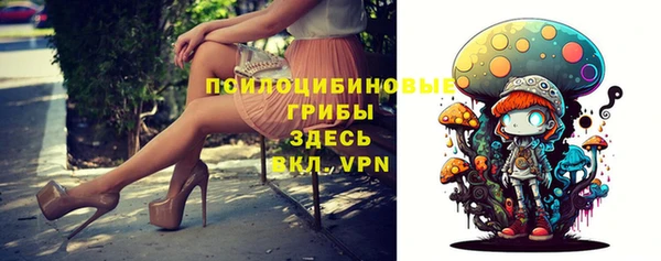 молекула духа Дмитриев